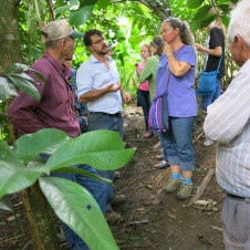 Learning about coffee and the many other crops Felipe grows